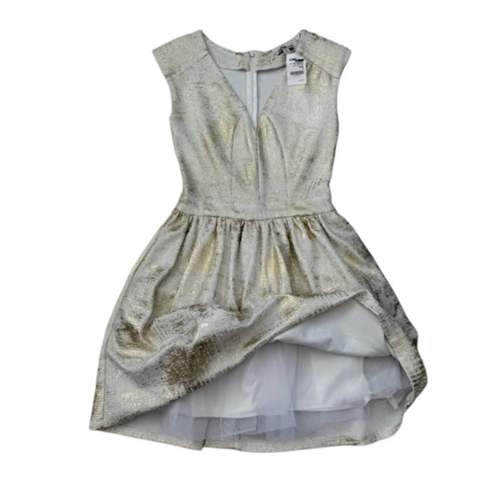 Charlotte Russe Metallic Gold and Silver Mini Dress